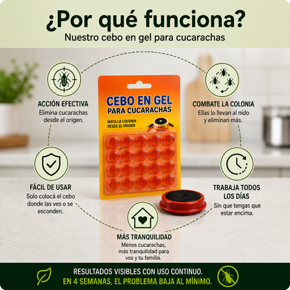 Saca las cucarachas de tu casa sin estar fumigando 🪳